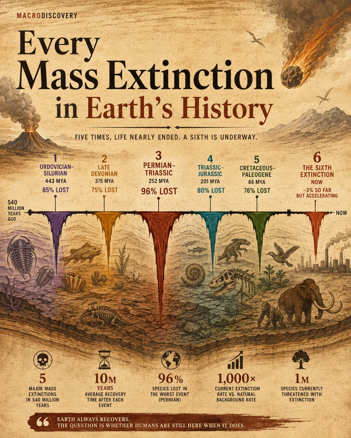 Visualized: Every Mass Extinction in Earth's History