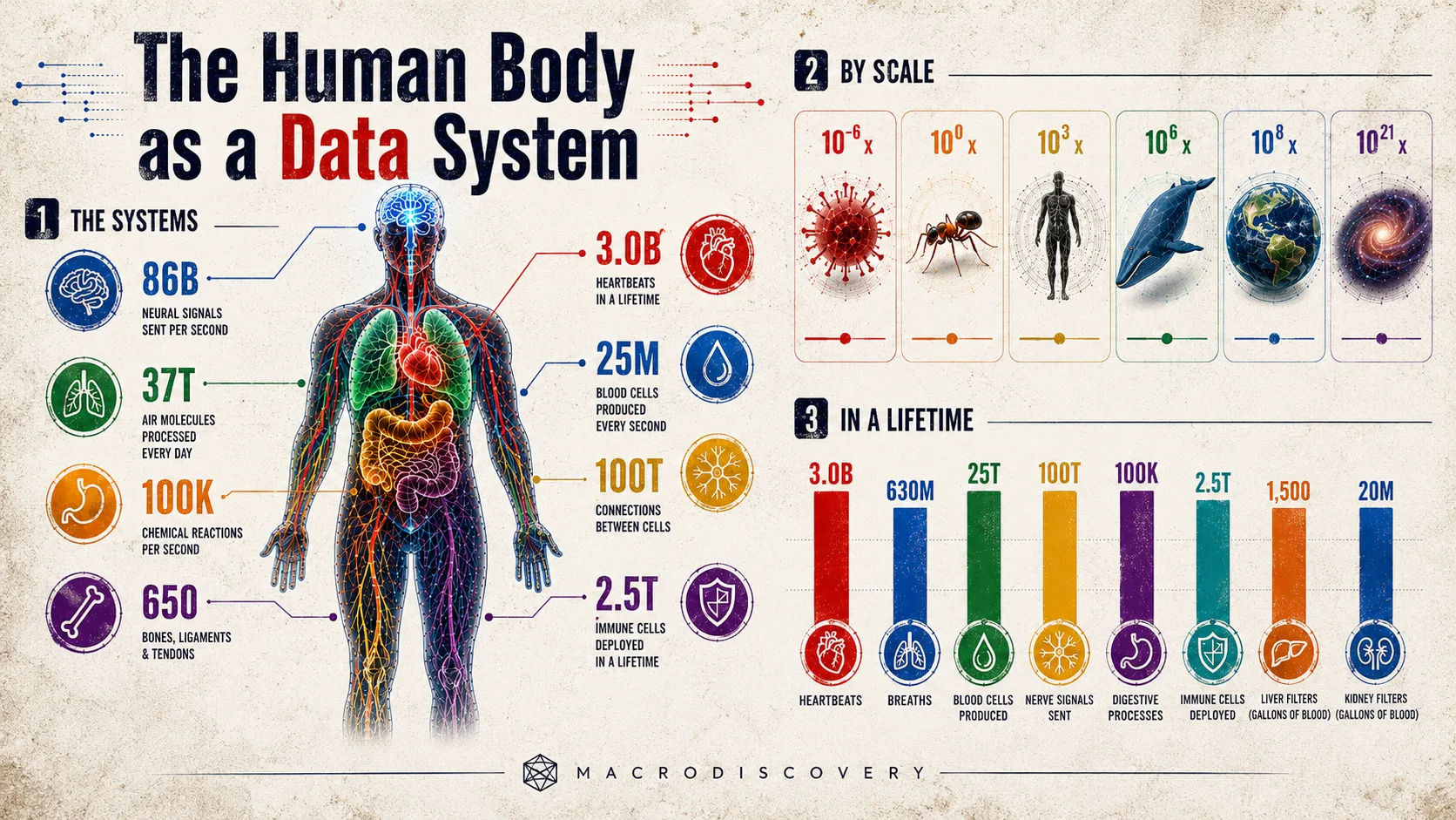 Visualized: The Human Body as a Data System