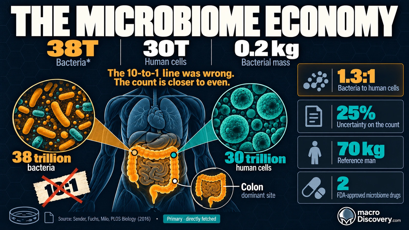 Dark graphic of a human outline filled with a cell census. Bacteria are the amber count at 38 trillion. Human cells are 30 trillion. Bacterial mass is 0.2 kilograms. Visualized: The Human Microbiome Economy.