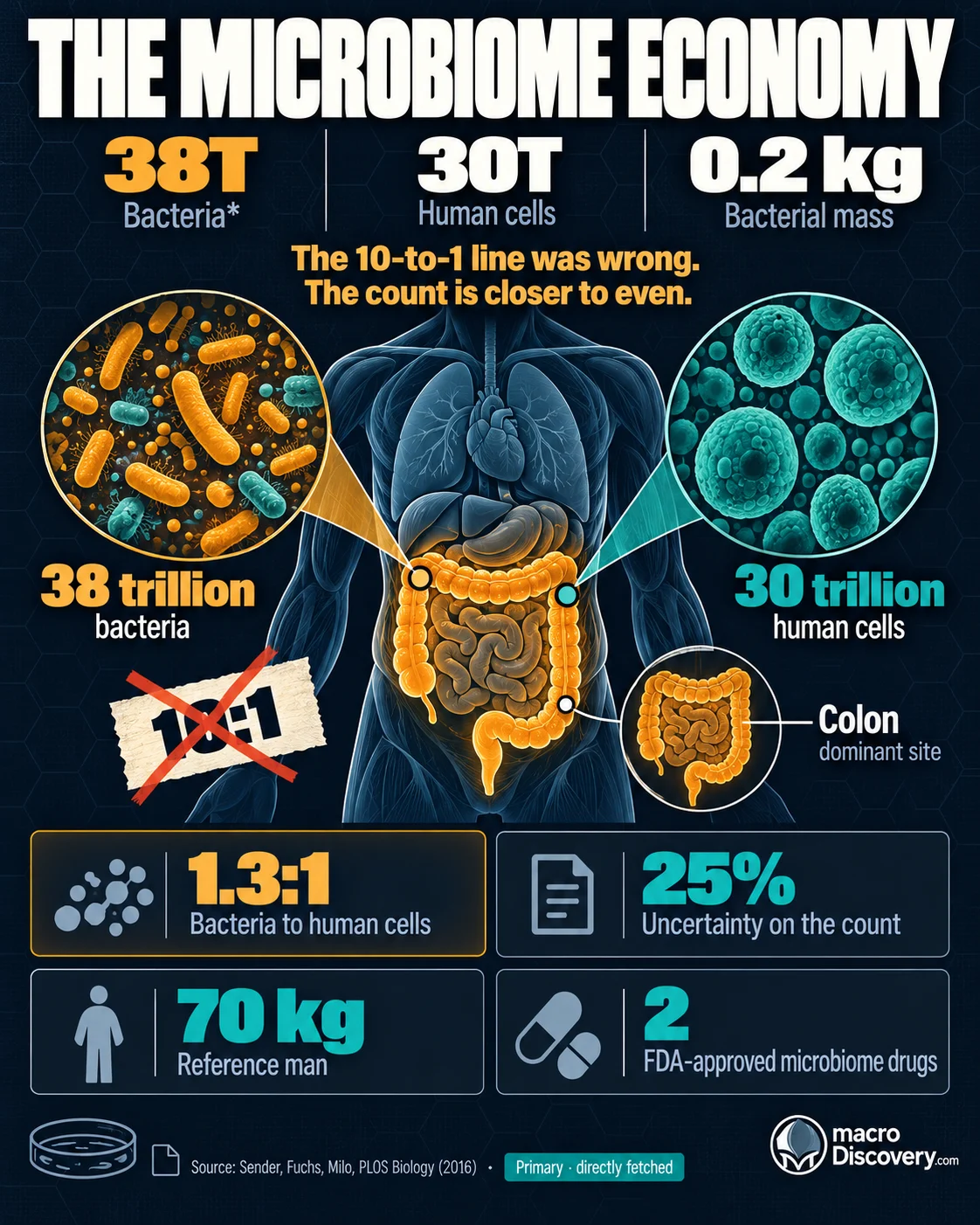 Dark graphic of a human outline filled with a cell census. Bacteria are the amber count at 38 trillion. Human cells are 30 trillion. Bacterial mass is 0.2 kilograms. Visualized: The Human Microbiome Economy.